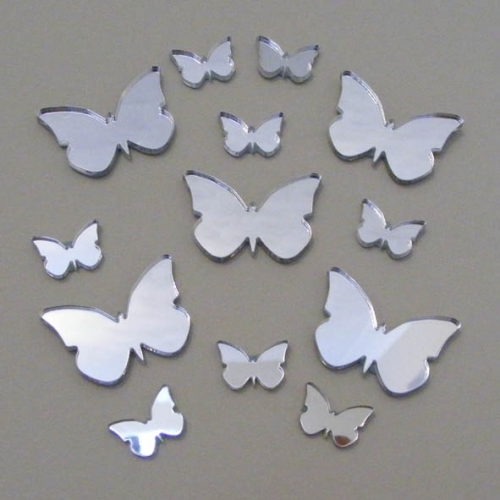 Animal Mirrors